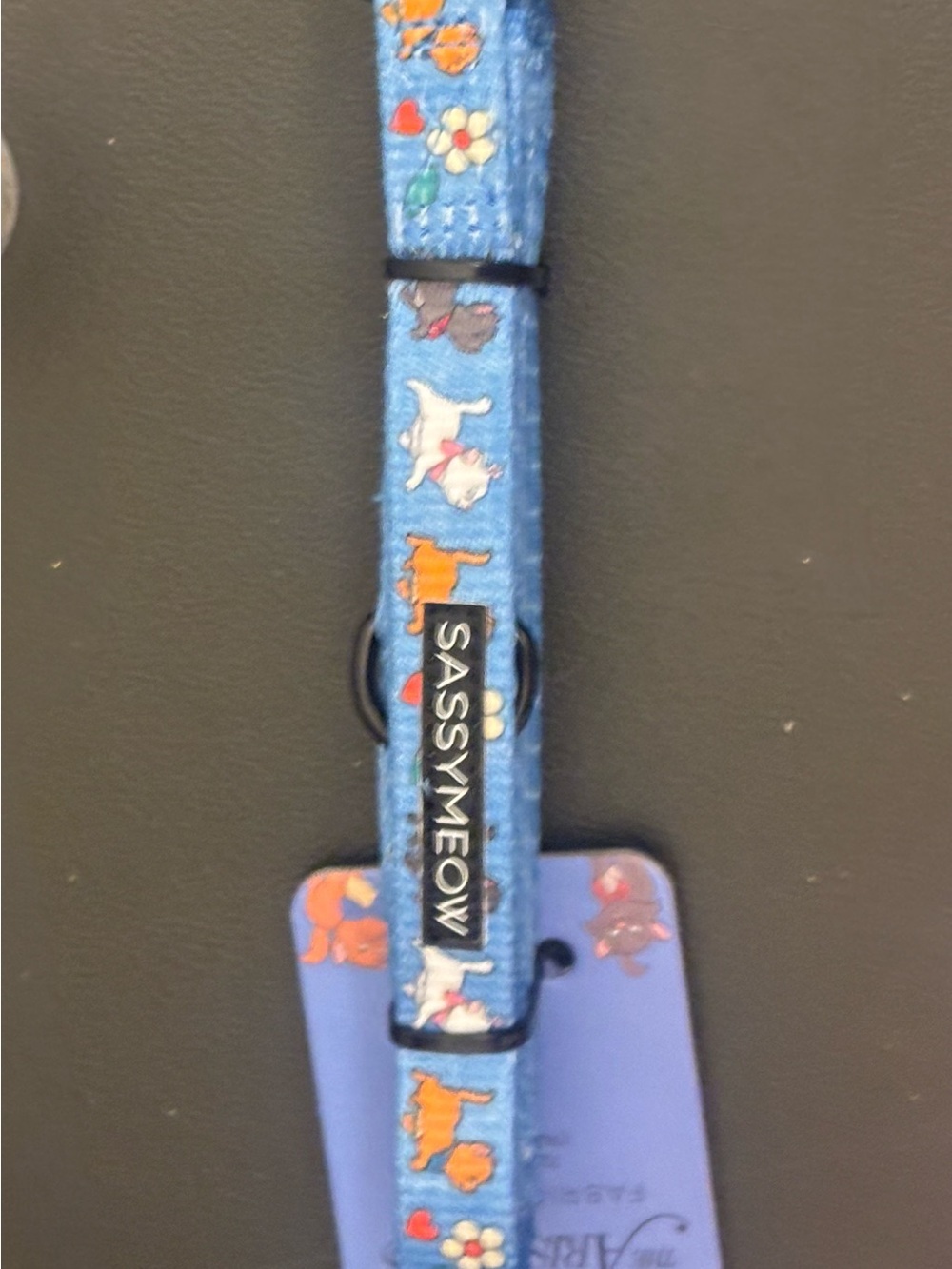 Disney Sassy Meow Aristrocat  4’ Pet Leash